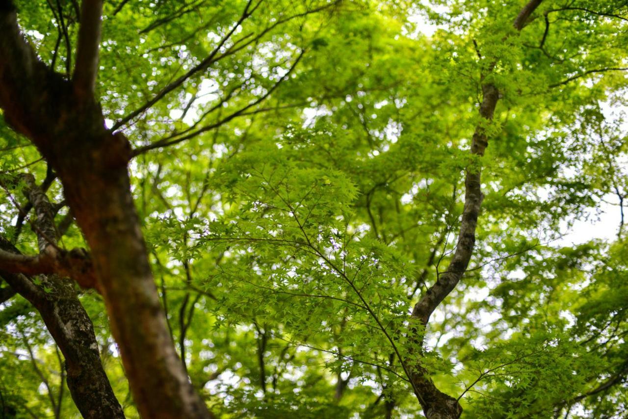 Villa Hamorebi Hatsukaichi Extérieur photo